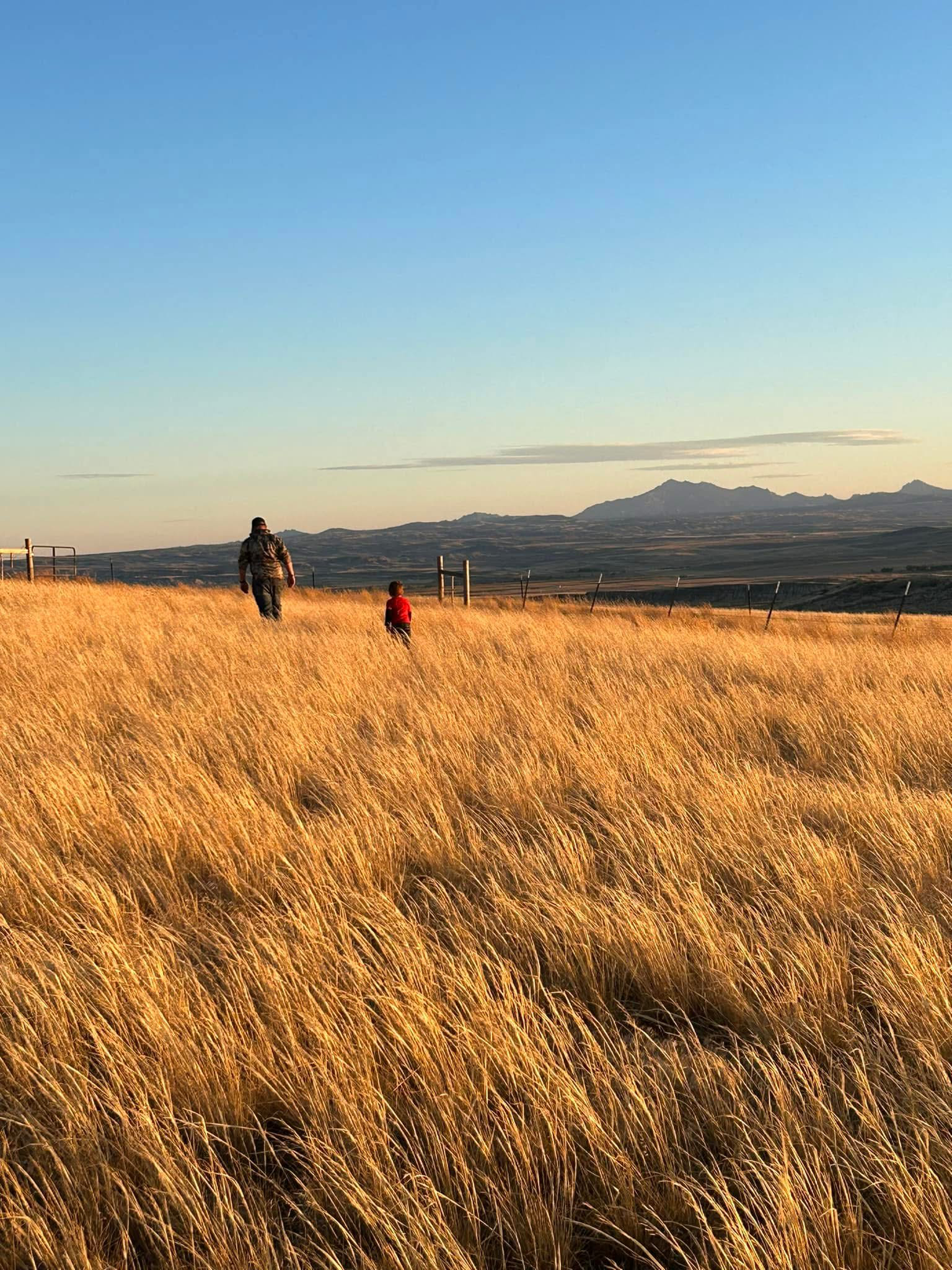 Starting Our Homestead…