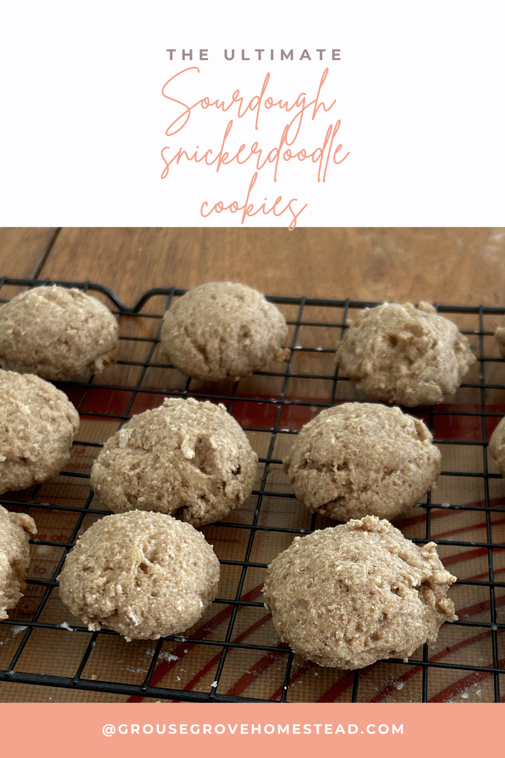 The Ultimate Sourdough Snickerdoodle Cookies