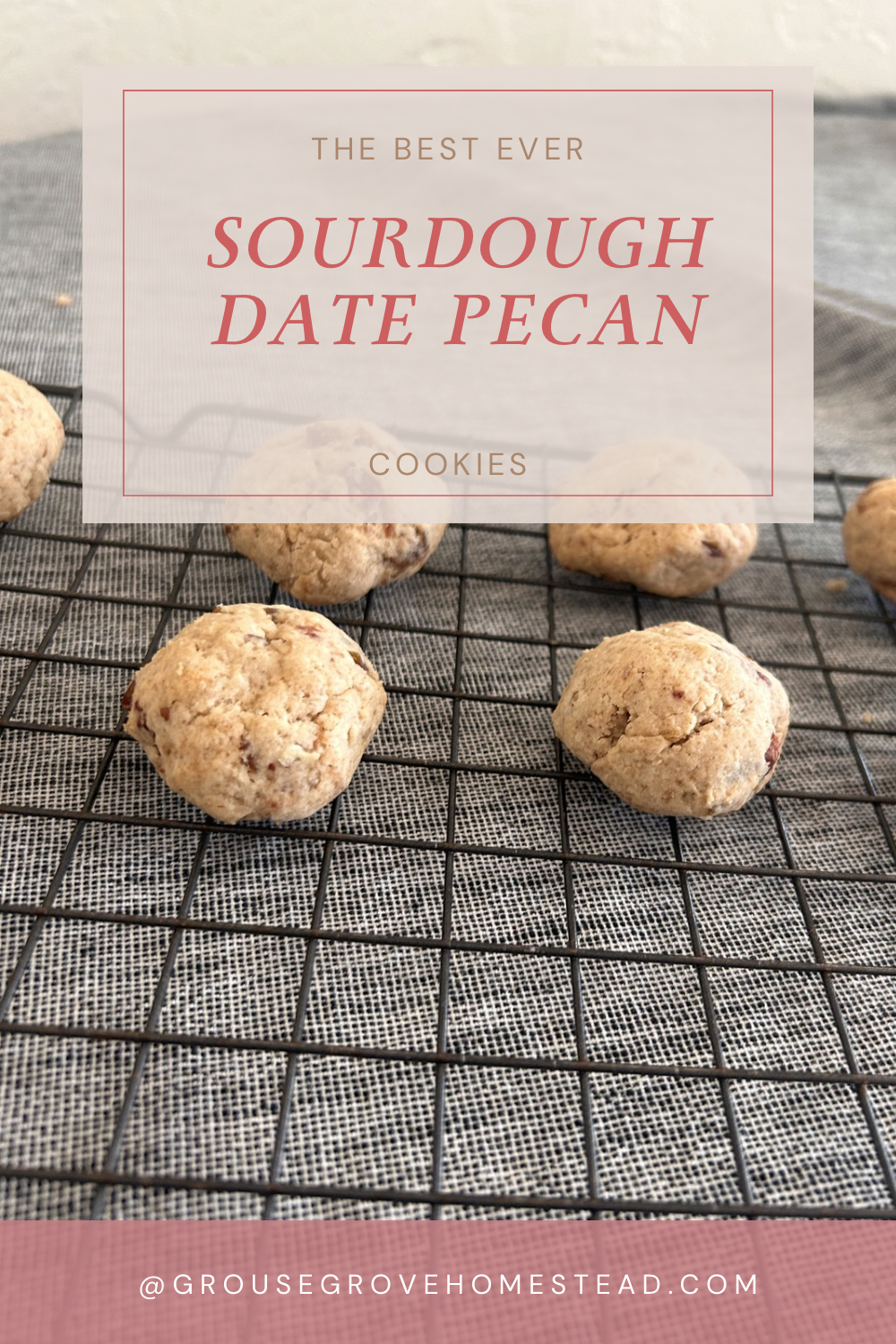 Sourdough Date Pecan Cookies