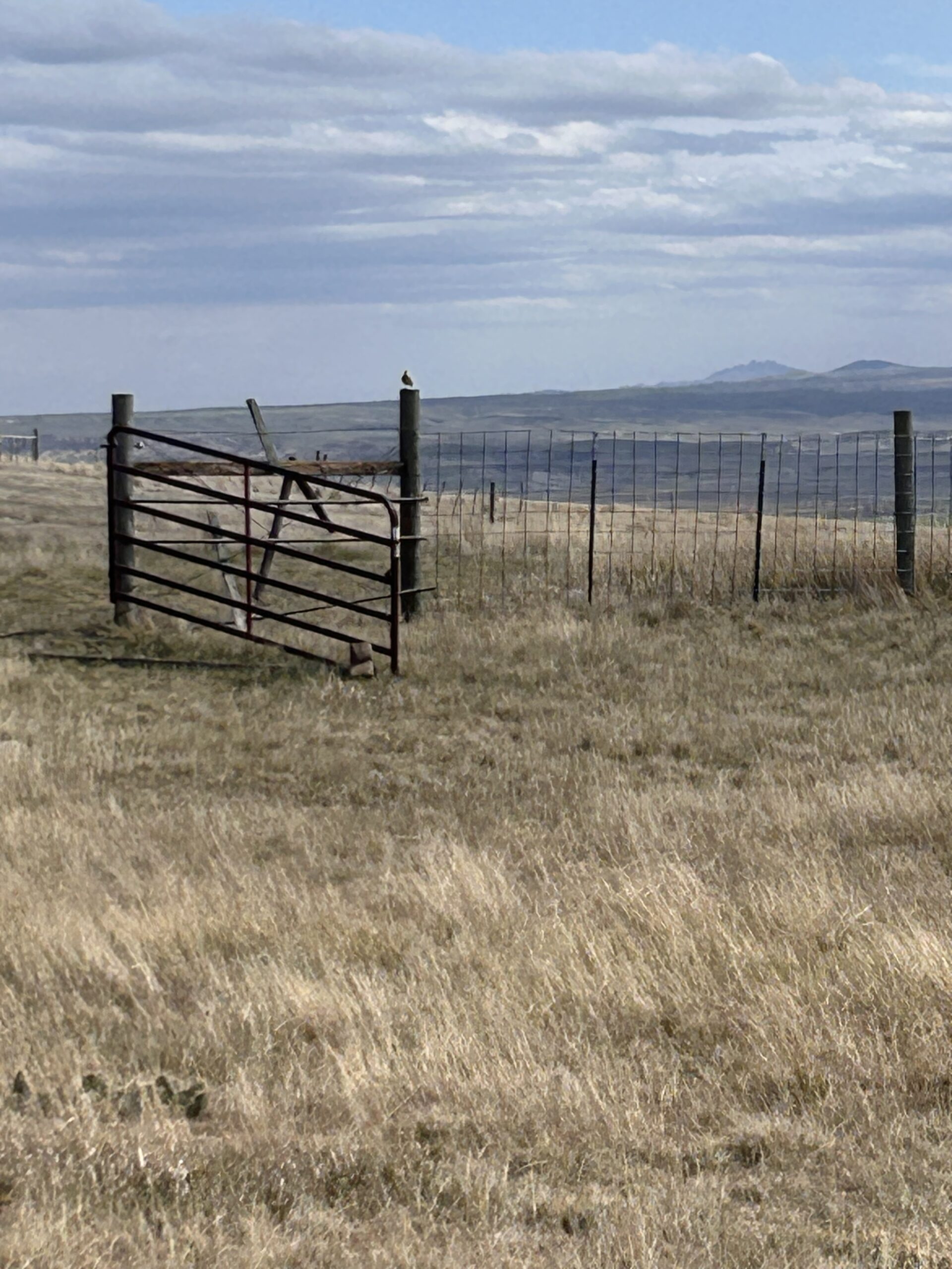 Budgeting on a Homestead